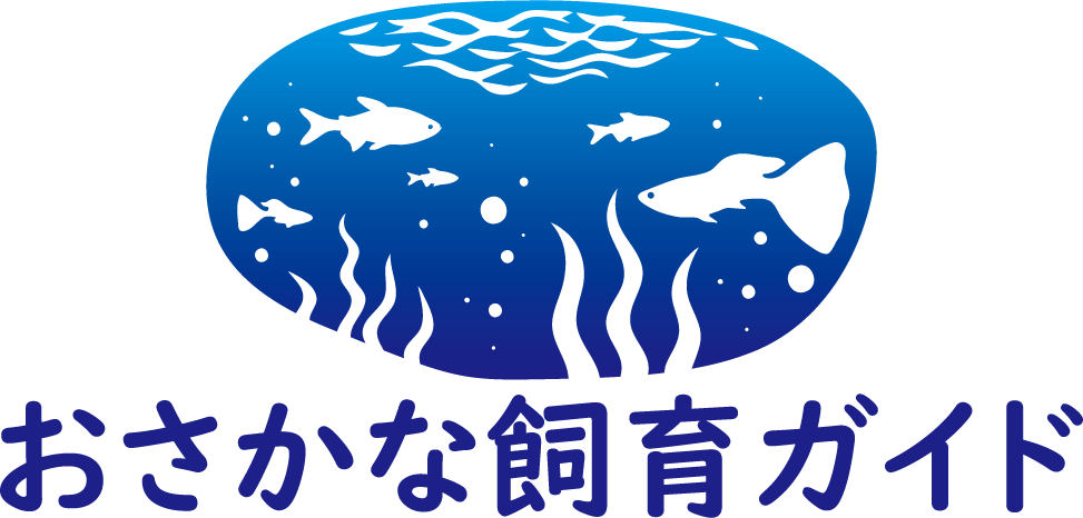 おさかな飼育ガイド